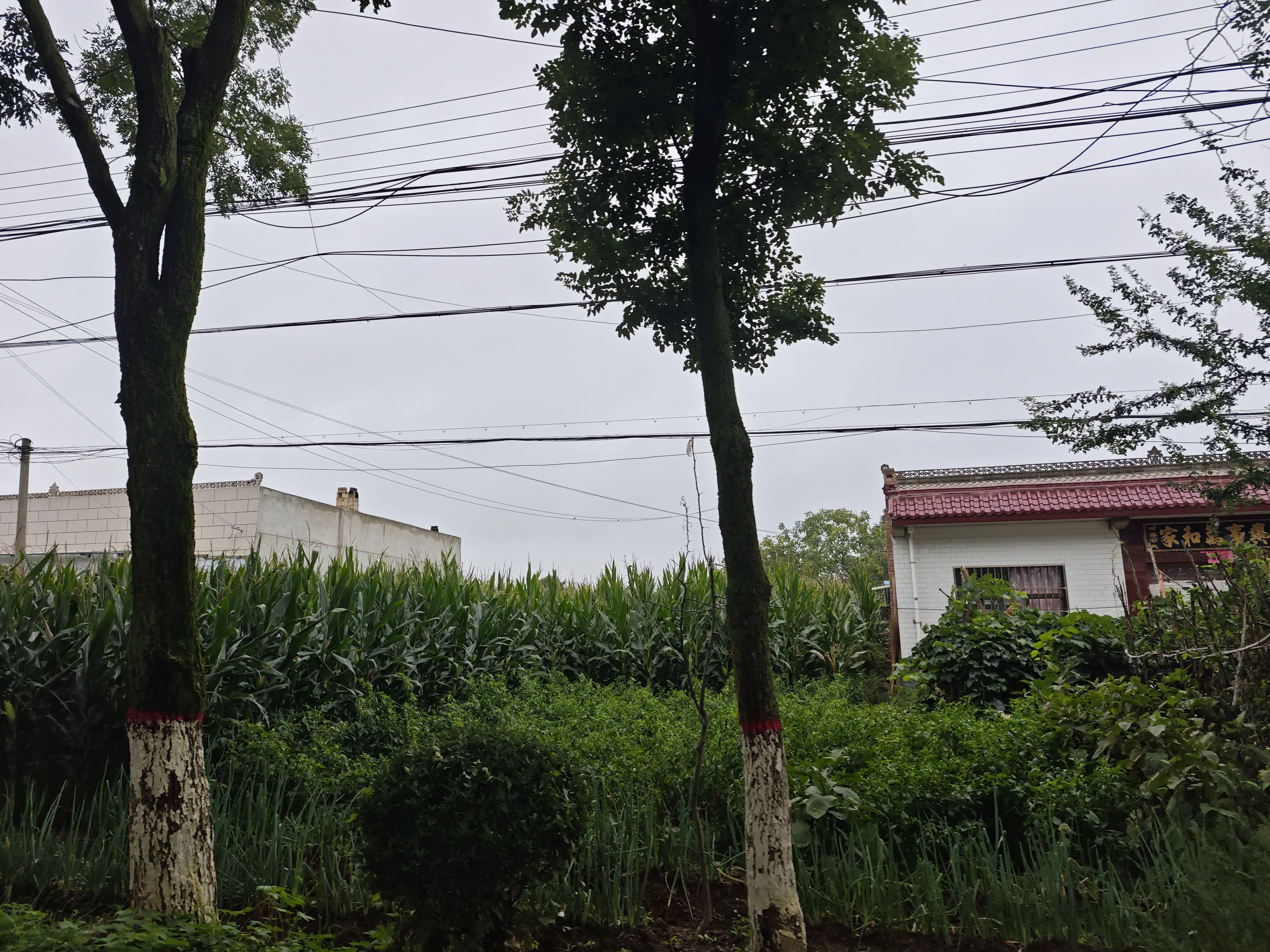 彬县路边打车看到的学生
